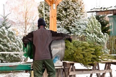 Verpacken der Christbäume