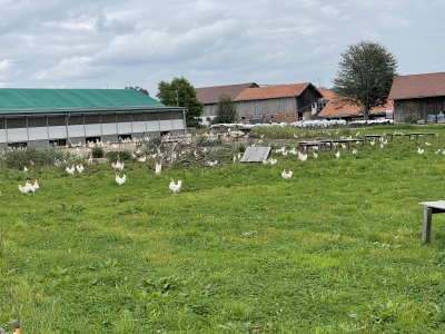Stallung mit grosszügem Auslauf