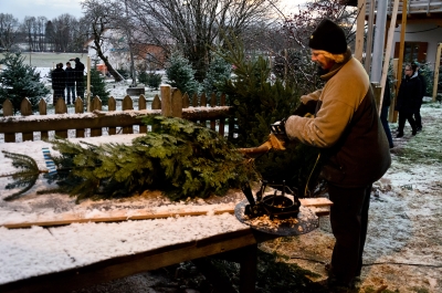 Anpassen an Christbaumständer